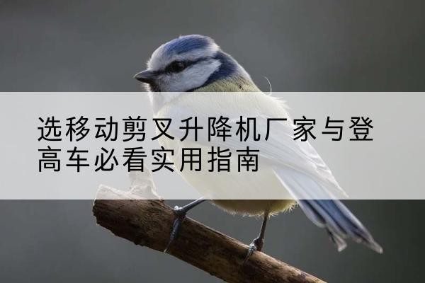 北湖电动升降机厂家-选移动剪叉升降机厂家与登高车必看实用指南