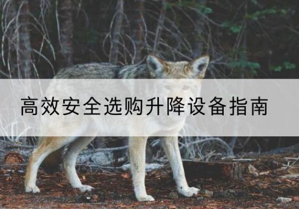 北湖升降货梯厂家推荐-*安全选购升降设备指南
