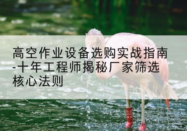 北湖剪叉式升降机厂家-高空作业设备选购实战指南-十年工程师揭秘厂家筛选核心法则